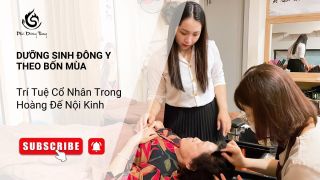 Dưỡng Sinh Đông Y Theo Bốn Mùa: Trí Tuệ Cổ Nhân Trong Hoàng Đế Nội Kinh