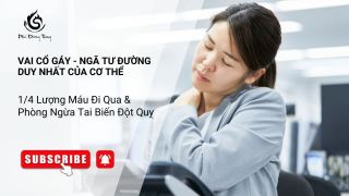 Vai Cổ Gáy - Ngã Tư Đường Duy Nhất Của Cơ Thể: 1/4 Lượng Máu Đi Qua & Phòng Ngừa Tai Biến Đột Quỵ