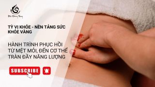 TỲ VỊ KHỎE - NỀN TẢNG SỨC KHỎE VÀNG: HÀNH TRÌNH PHỤC HỒI TỪ MỆT MỎI, ĐẾN CƠ THỂ TRÀN ĐẦY NĂNG LƯỢNG