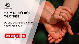 Từ lý thuyết đến thực tiễn – Dưỡng sinh Đông Y cho người hiện đại!