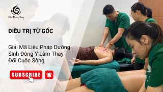 Điều Trị Từ Gốc – Giải Mã Liệu Pháp Dưỡng Sinh Đông Y Làm Thay Đổi Cuộc Sống