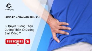Lưng Eo - Cửa Ngõ Sinh Khí: Bí Quyết Dưỡng Thận, Cường Thân từ Dưỡng Sinh Đông Y