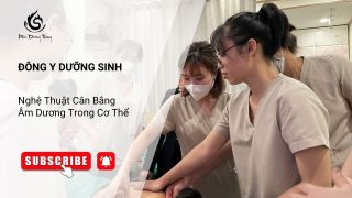 Đông Y Dưỡng Sinh – Nghệ Thuật Cân Bằng Âm Dương Trong Cơ Thể